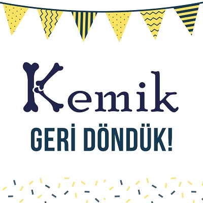 kemiklogo